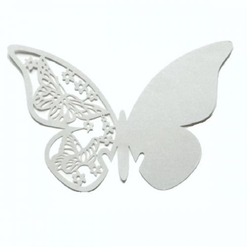motýl perleťový vzor 2