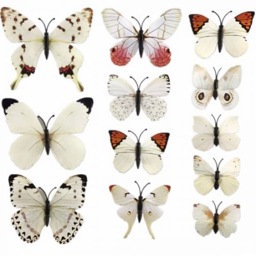 Motýlí magnety-bílobéžový mix_12ks