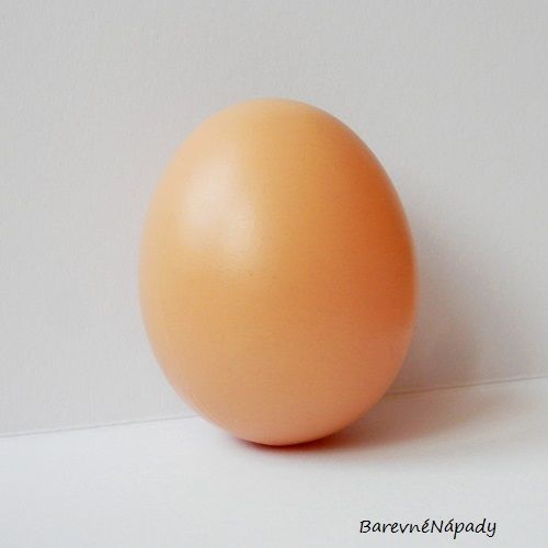 Plastové vejce_světlé hnědé.JPG