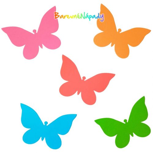 sytě barevní motýlci