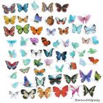 Dekorativní samolepky - motýlci mix