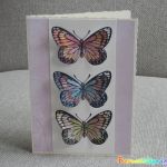 3 malovaní motýlci - přání