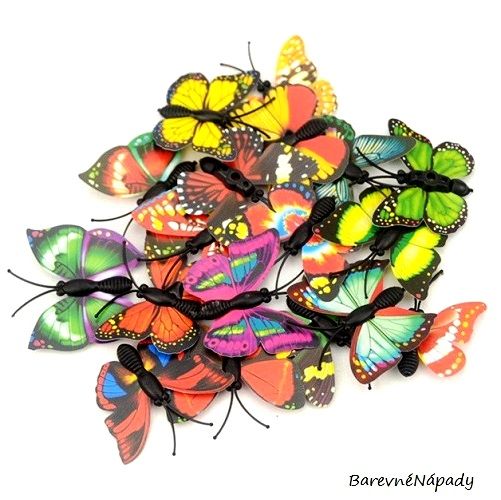 3D motýlci mix