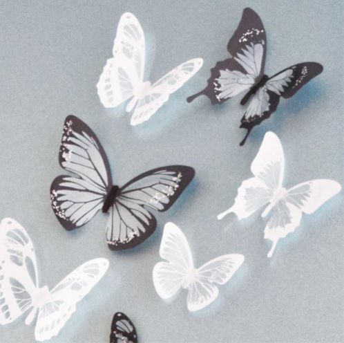 3D motýlci_transparentní_černobílí