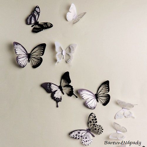 3D motýlci_transparentní_černobílý mix