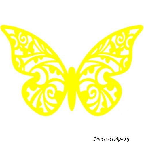 filigránový motýl
