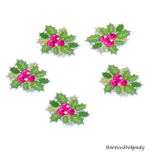 knoflíky - vánoční květina_poinsettia