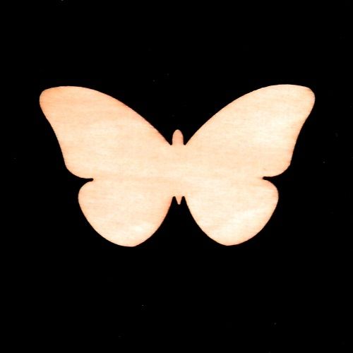 motýl-výřez_6cm.JPG