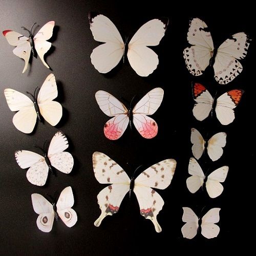 Motýlí magnety-béžový mix
