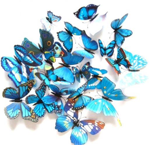 Motýlí magnety-modrý mix