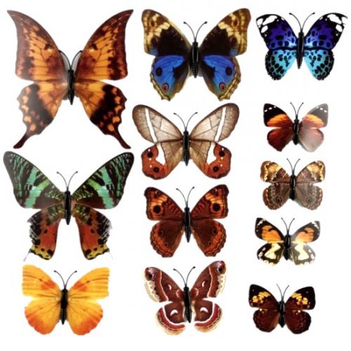 Motýlí magnety-přírodní mix_12ks