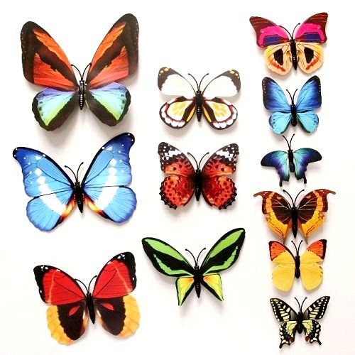 Motýli mix barev_příklad1