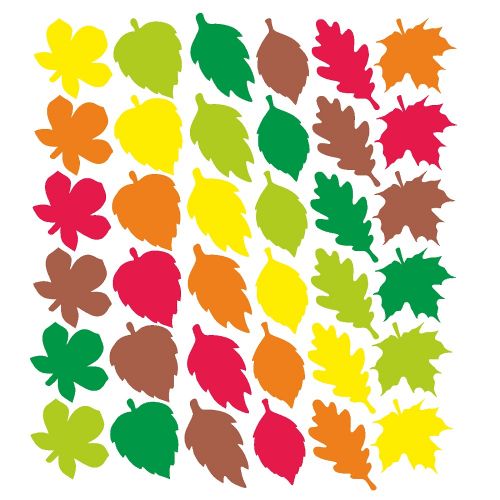 podzimní listy 6 druhů 6 barev