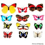 Motýlí magnety-barevný mix