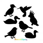 Vyškrabávací obrázky - ptáci mix
