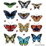 Samolepky motýli a berušky - 2
